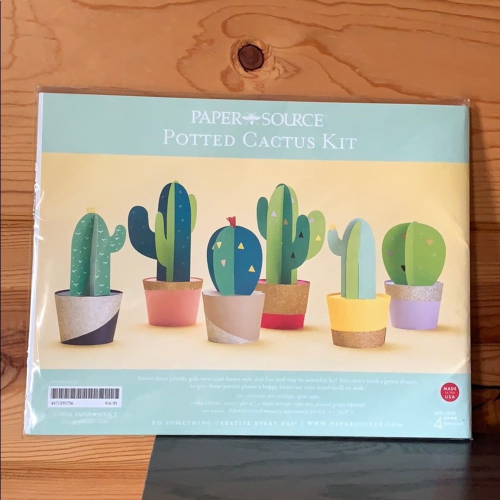 Paper Source Potted Cactus Kit